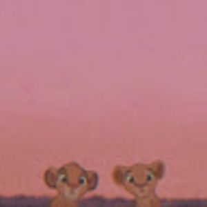 Meet your Posher, Dakota